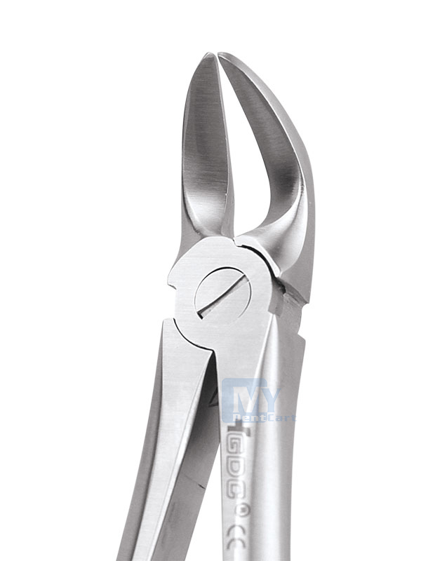 GDC Separating Lower Molar No.56 Extraction ForcepS